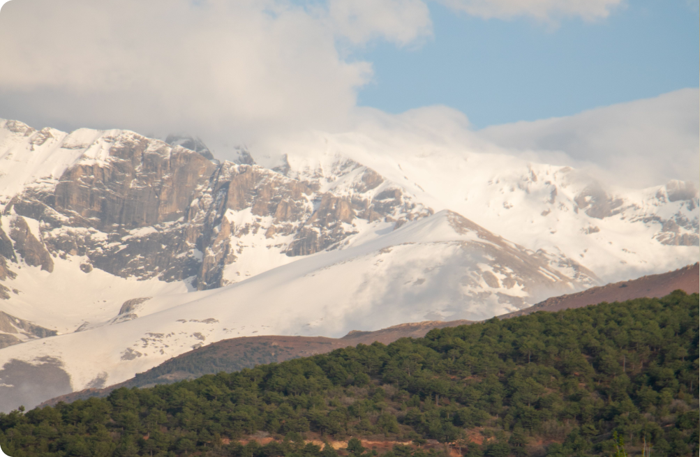 Snow-capped mountains above green forested foothills